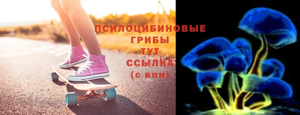 дмт Козельск