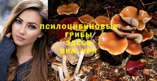 кокс Козловка